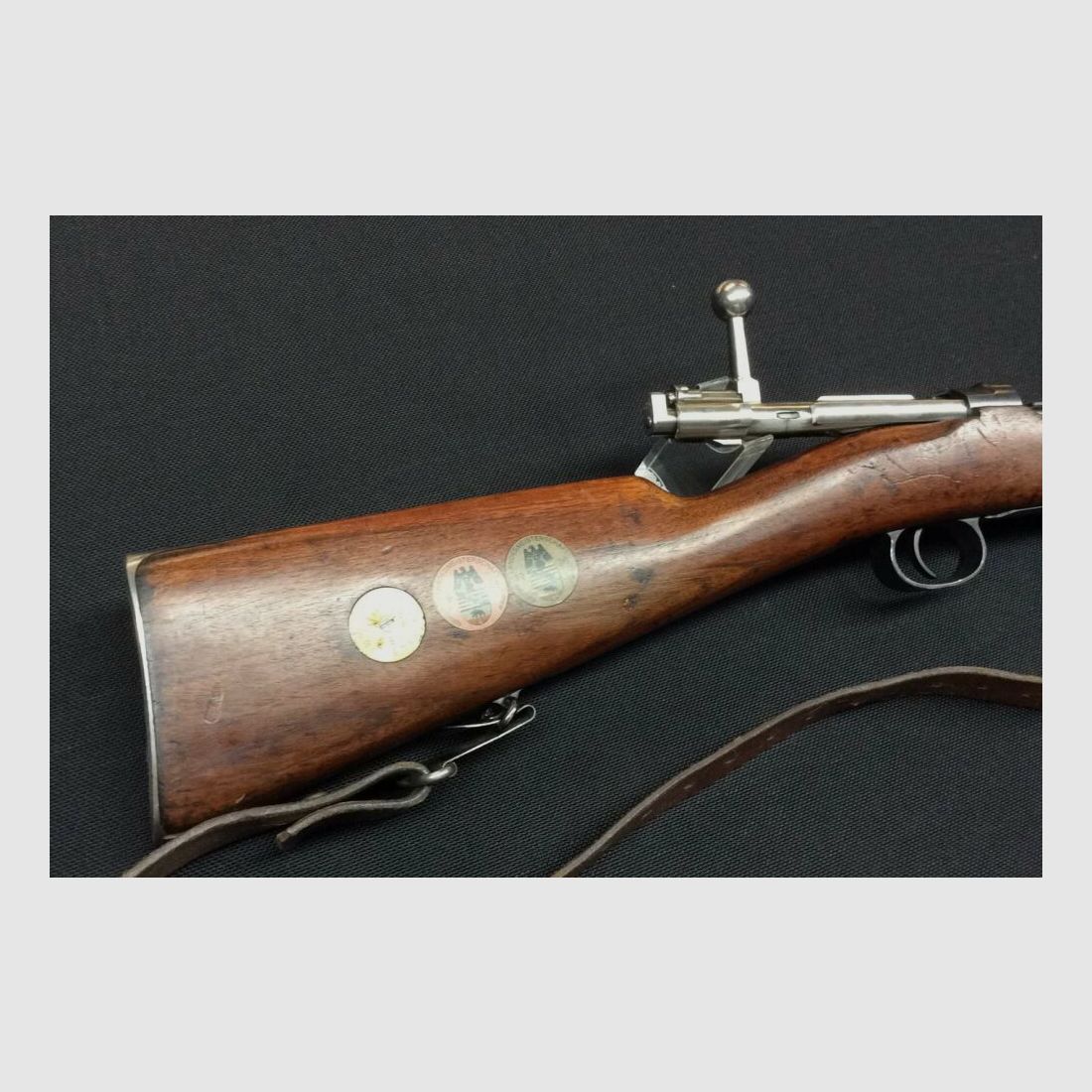 Carl Gustafs M96 6,5x55SE