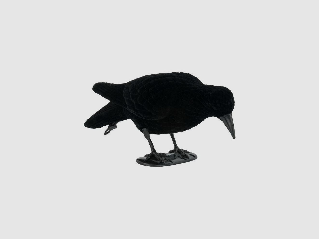 Flock-Krähenform Futterer