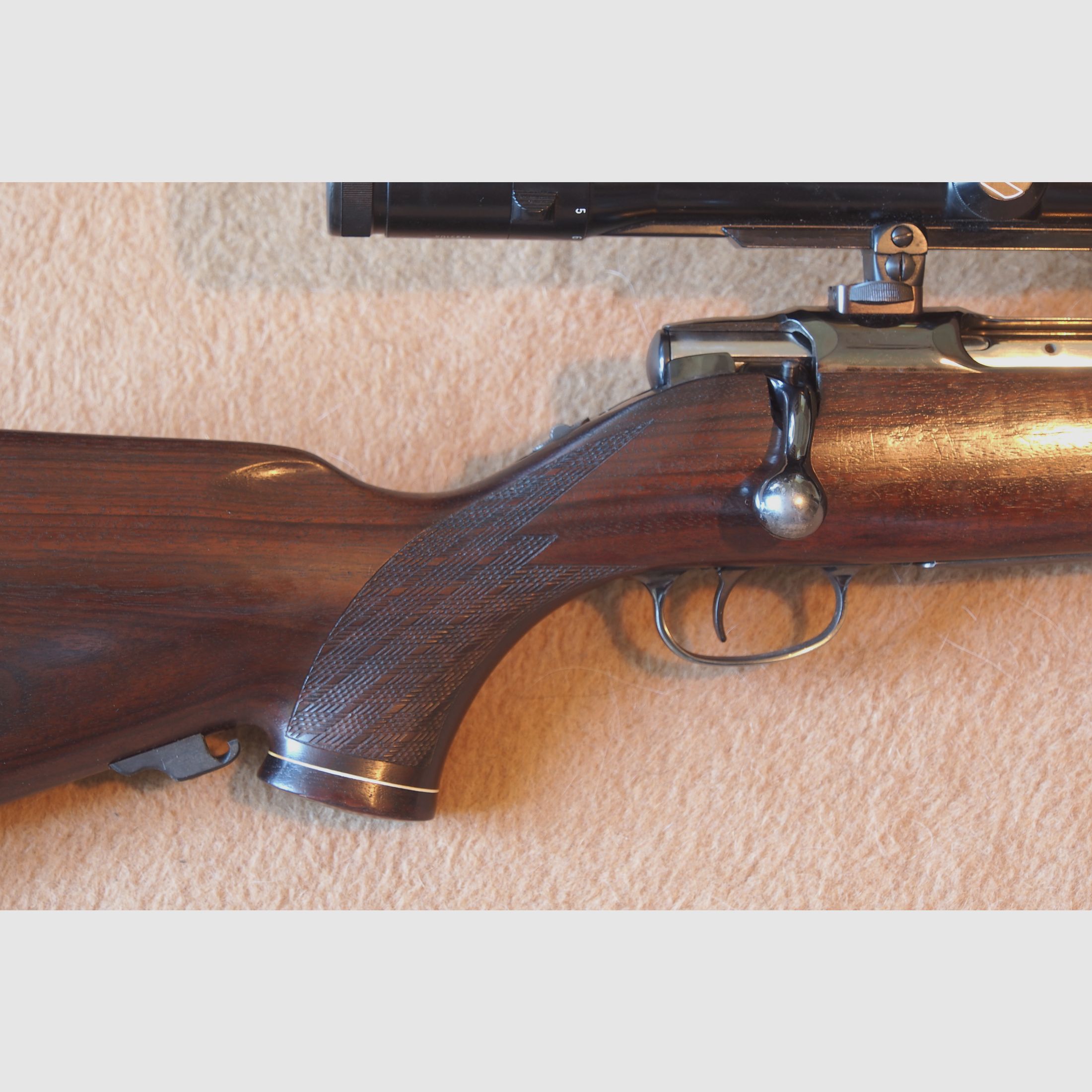 Especialista en caza menor: Sauer 80 de primera clase, el clásico de Sauer und Sohn