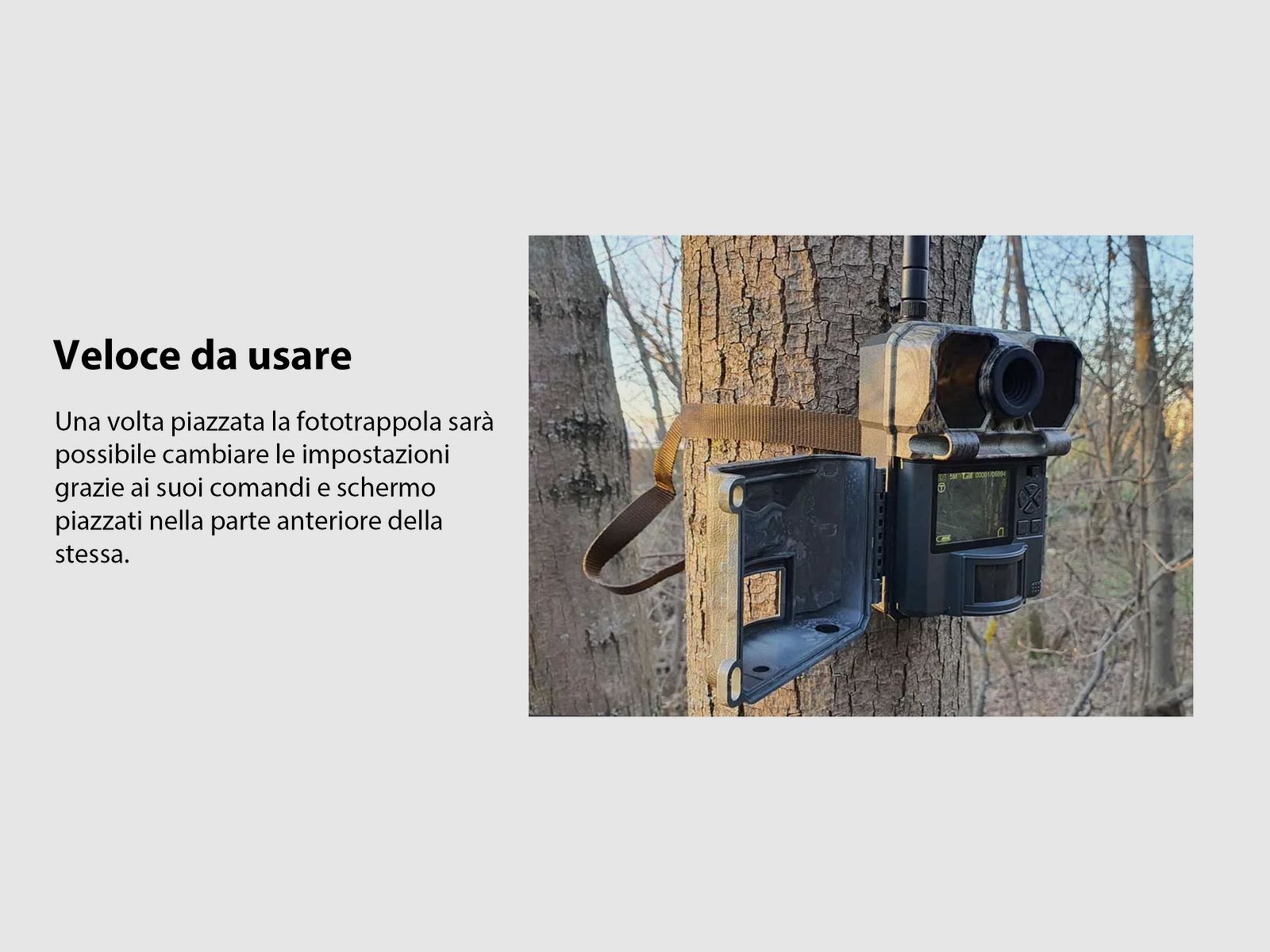 Icucam 4 Caméra de chasse 4G LTE, image 4 sur 13
