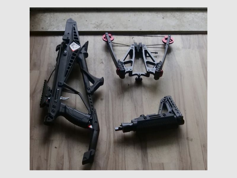 siege 300 compound armbrust