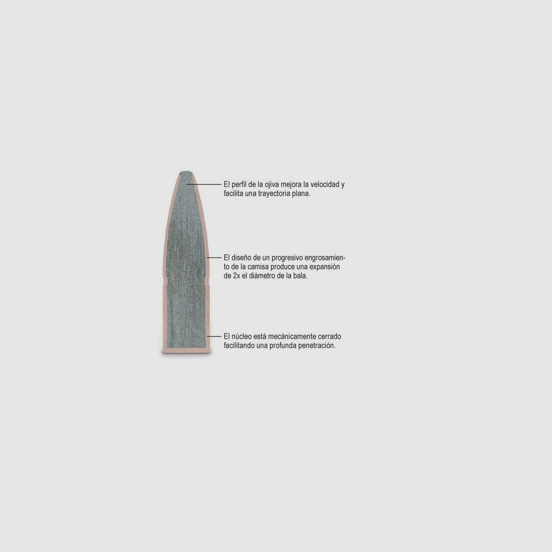 Remington Core Lokt Cal.7MM RM 175gr, imagen 2 de 2