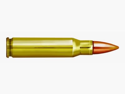 PPU BÜCHSENPATRONEN 30-06SPR - 9,7G/150 GRS. - FMJ BT - 100 SCHUSS BULK