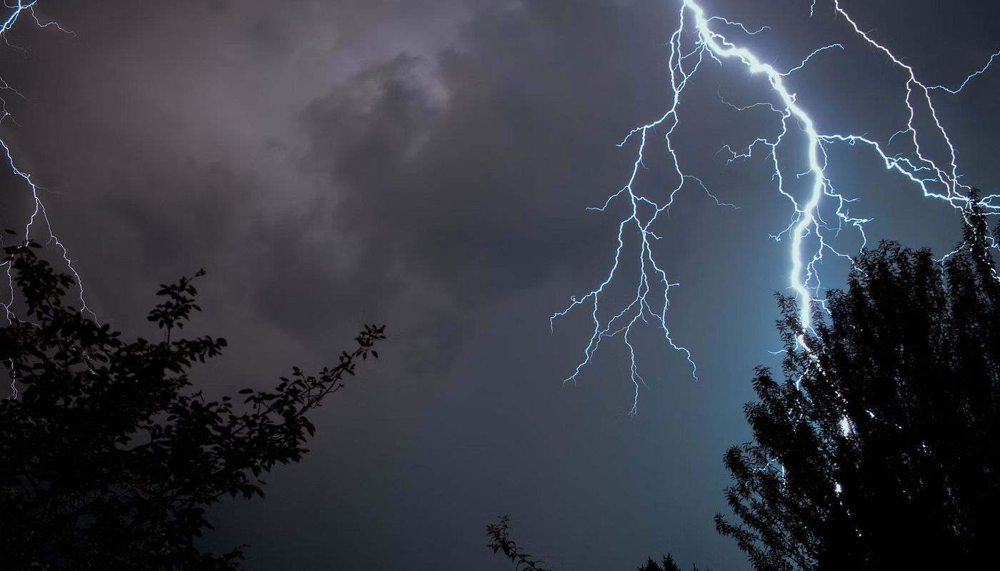 Jagen bei schlechtem Wetter - das gilt es zu beachten