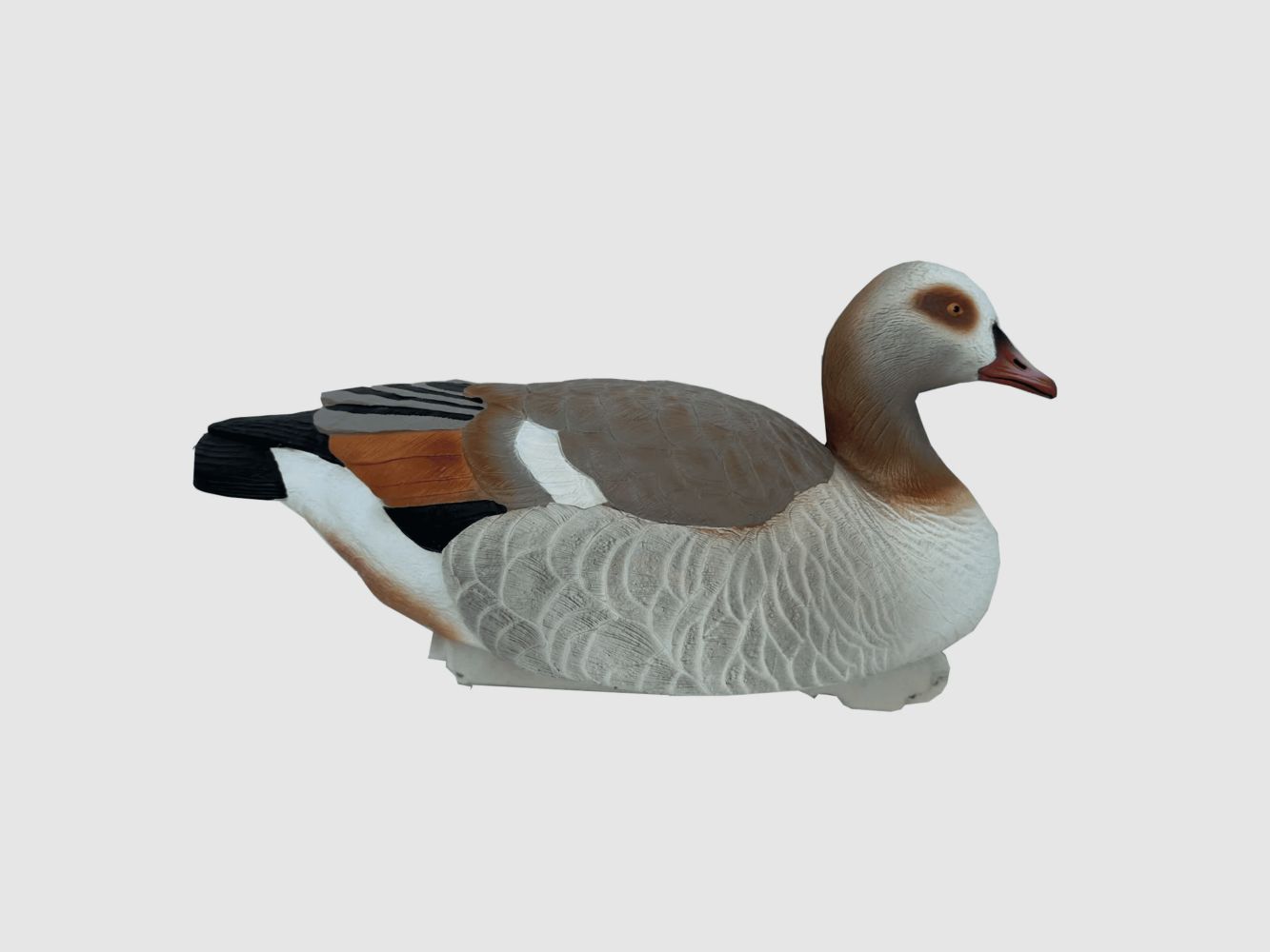 Duck Hunter Set aus 6 Schwimmenden Lockvögeln Ägyptische Gans - Wasserwildjagd, Bild 1 von 2