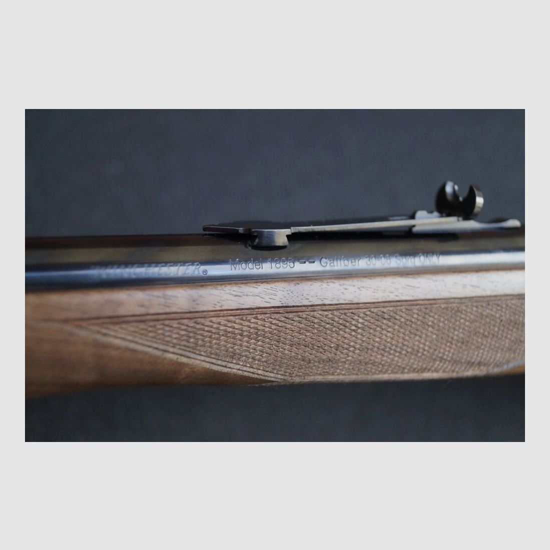 Winchester, Miroku Winchester	 1895