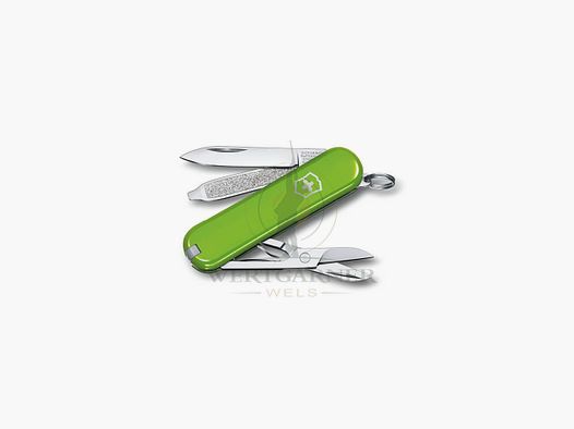 Victorinox Classic SD 58mm verde
