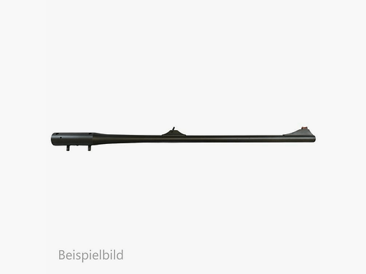 Blaser WL R8