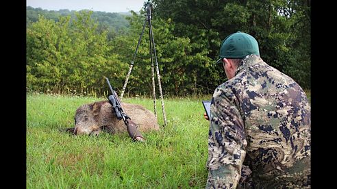 Schwarzwildjagd bei Tageslicht 2.0 / Besuch von Huntingroom Germany 4K