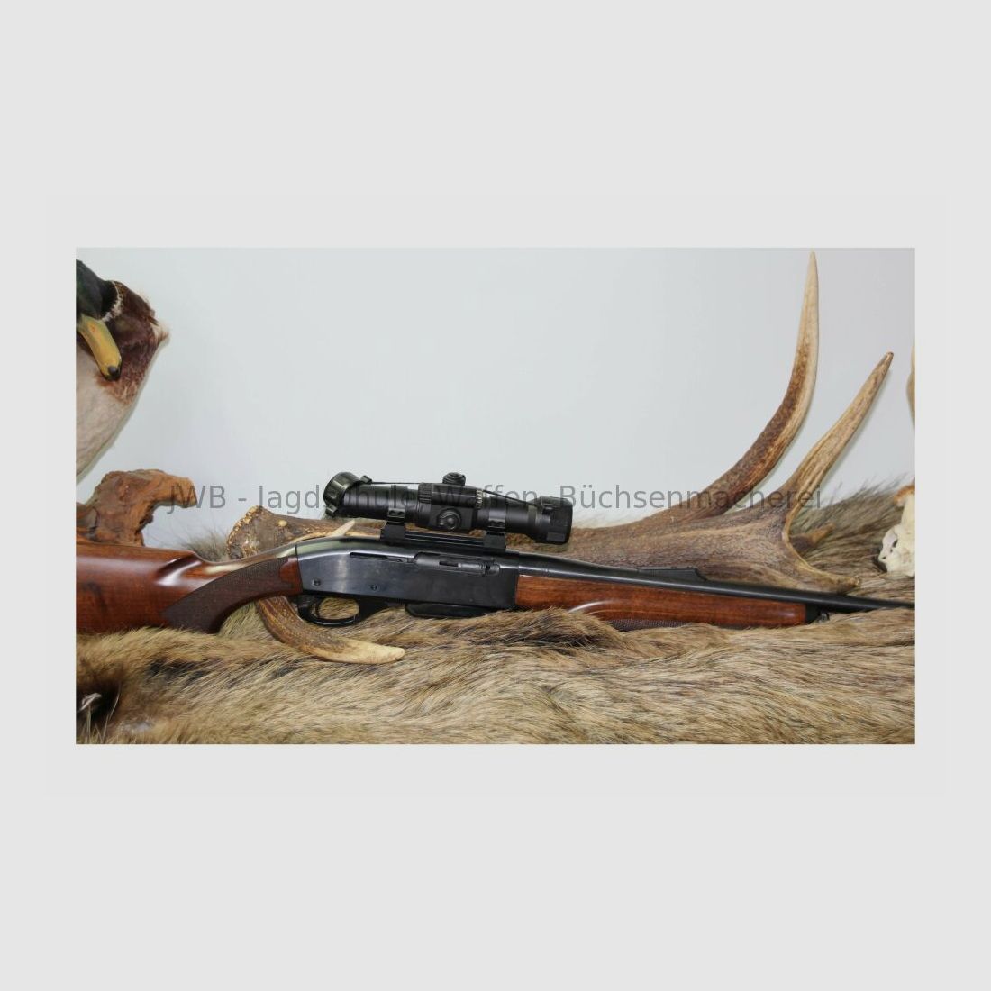 Remington Mod. 750 Halbautomat - Damenwaffe .308Win, Bild 6 von 6