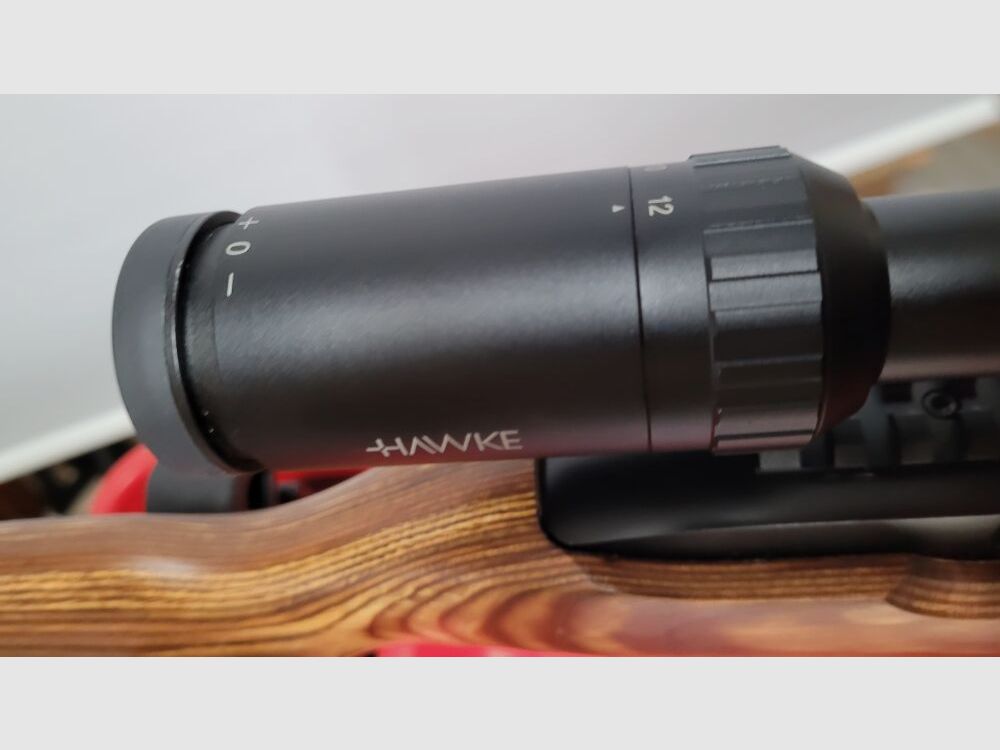 Ruger 10/22