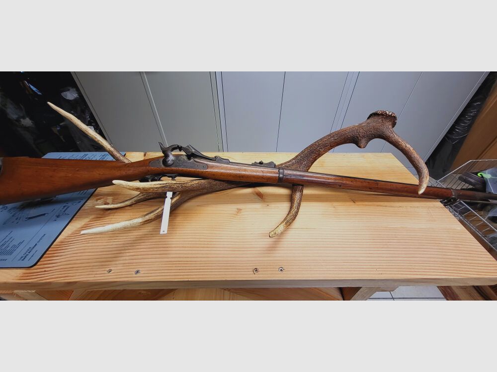 Springfield 1878 mit Original Munitionstasche