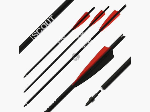 Armbrustbolzen | X-BOW FMA Scout - Bodkin - 16-22 Zoll - Hybridbolzen