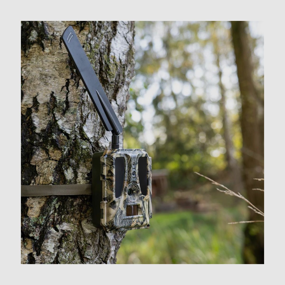 DÖRR Überwachungskamera SNAPSHOT CLOUD PRO 4G WA