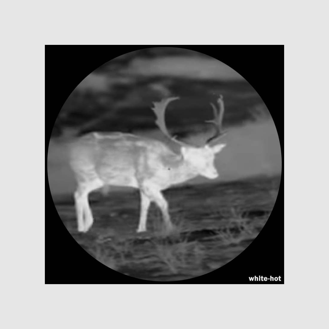 Lahoux Spotter Pro 25 telecamera termica