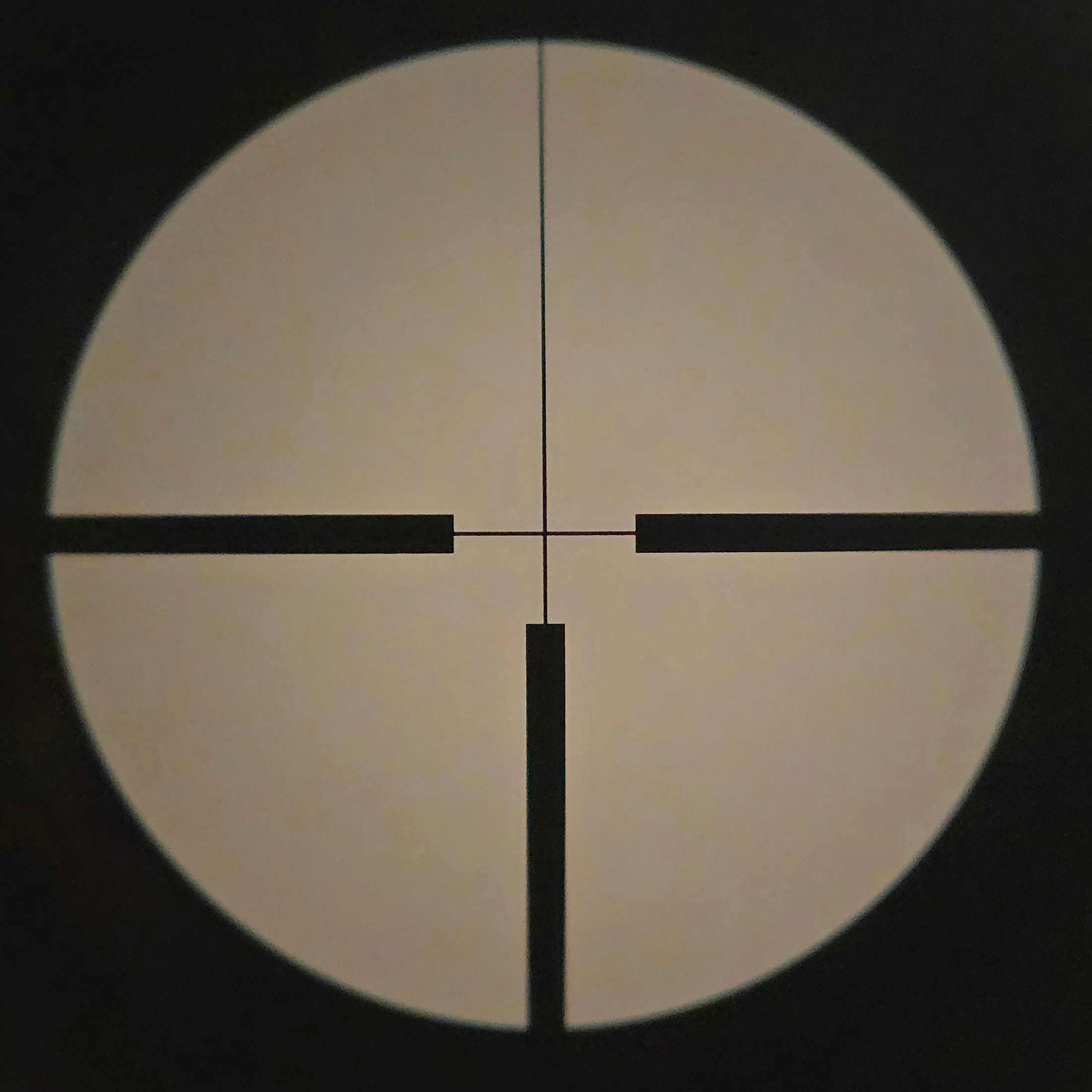 Zeiss Diavari-Z 2.5-10x48 T* (Reticle 4, 1st focal plane)