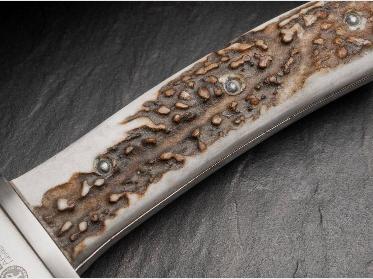 Boker Arbolito Esculta Stag Horn Bowie Jachtmes, afbeelding 12 van 16