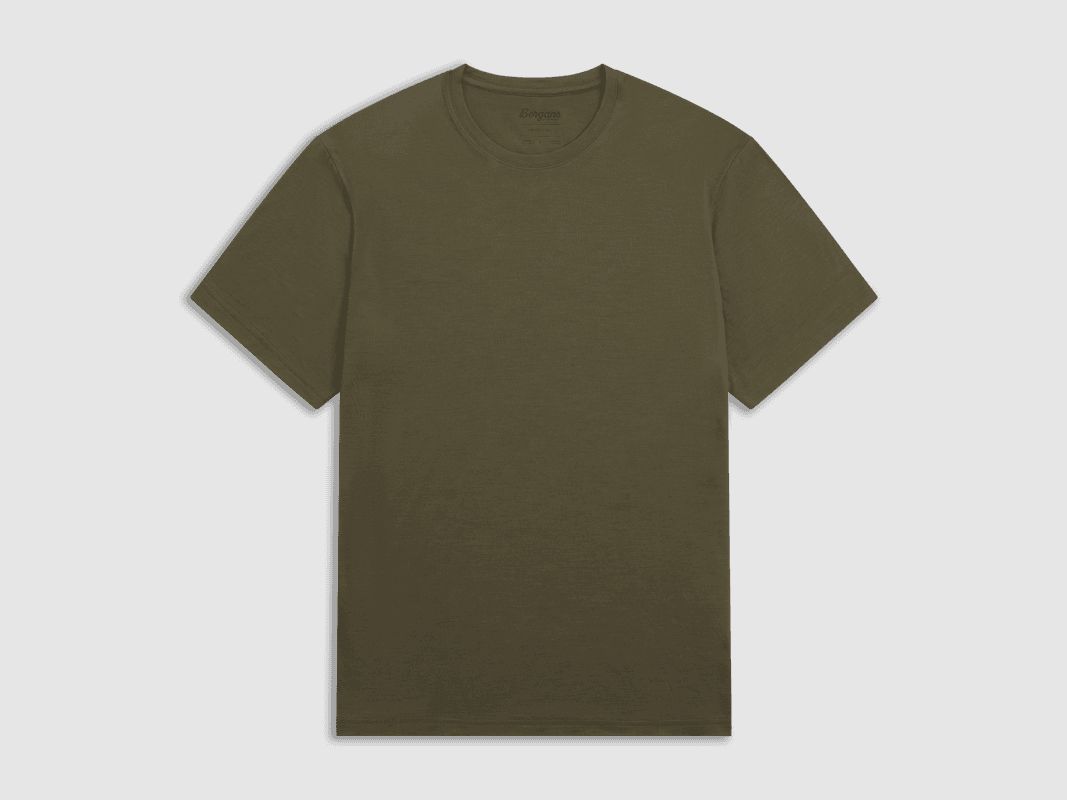 Bergans Merino Light Tee Men Pine Forest L