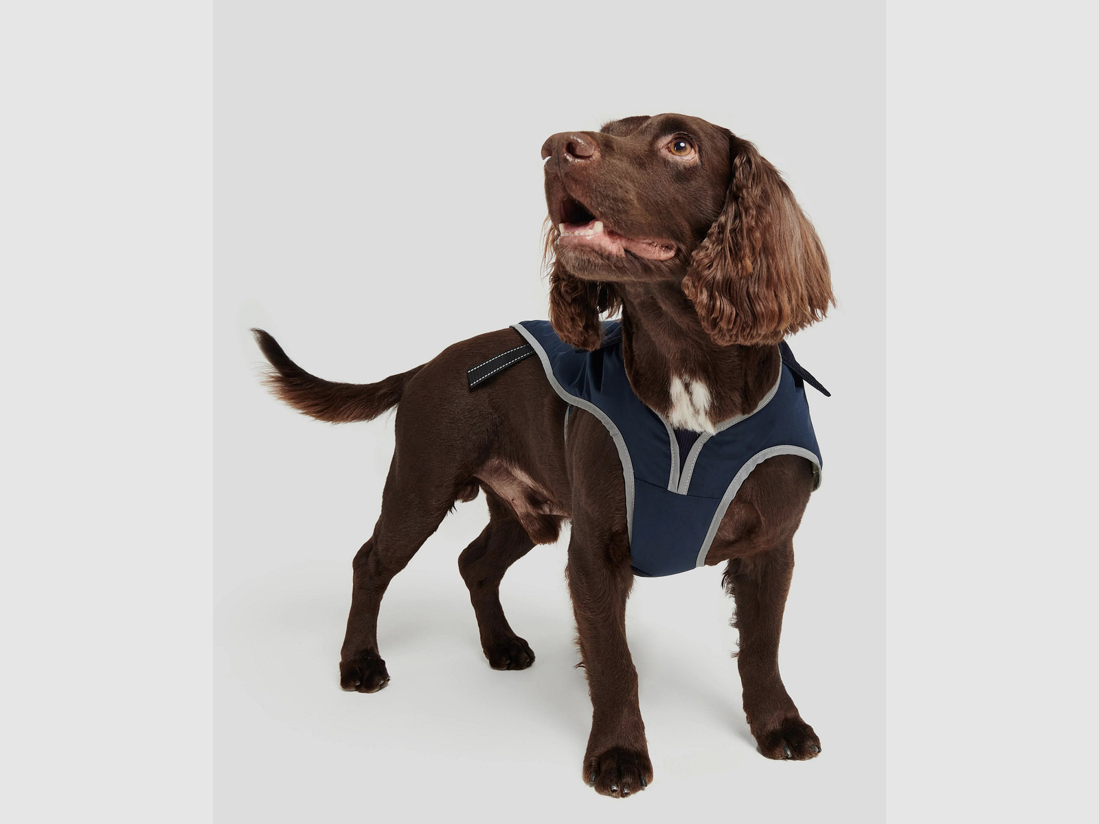 Barbour wasserdichter Hundemantel Monmouth