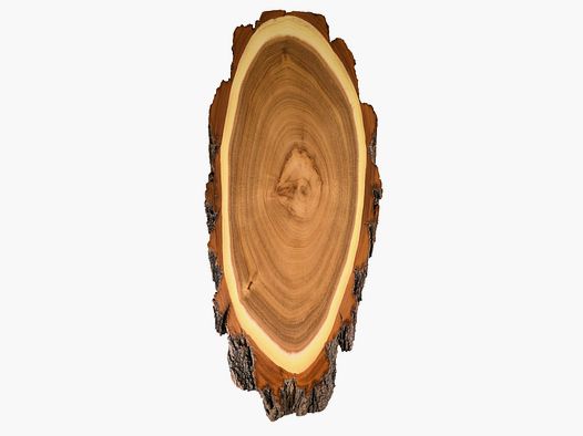 Tarcza jelenia akacjowego