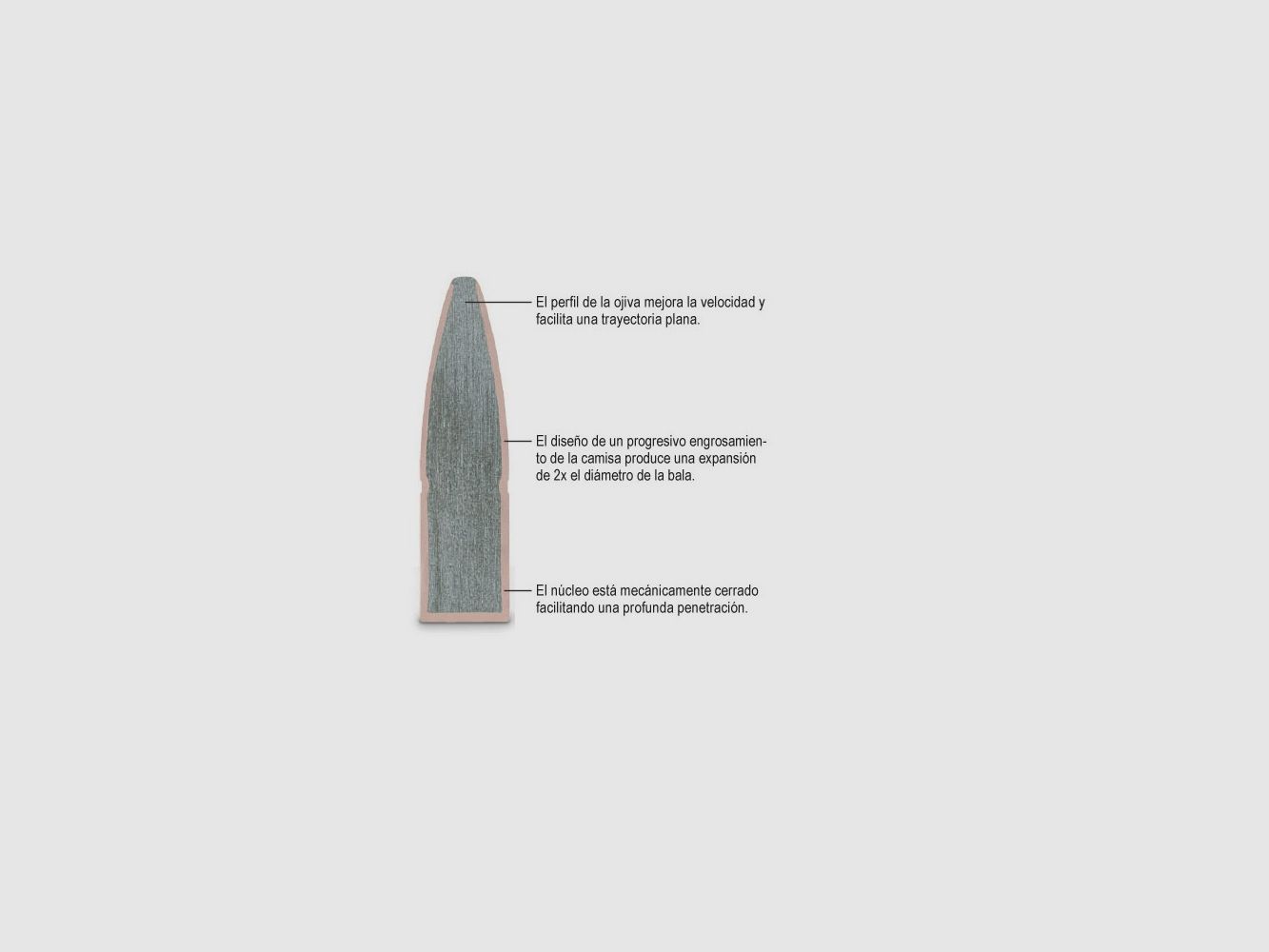 Remington Core Lokt Kal.30-06 SPRG 150gr, Bild 2 von 2