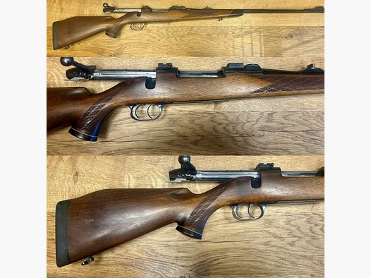 Sauer Weatherby Europa