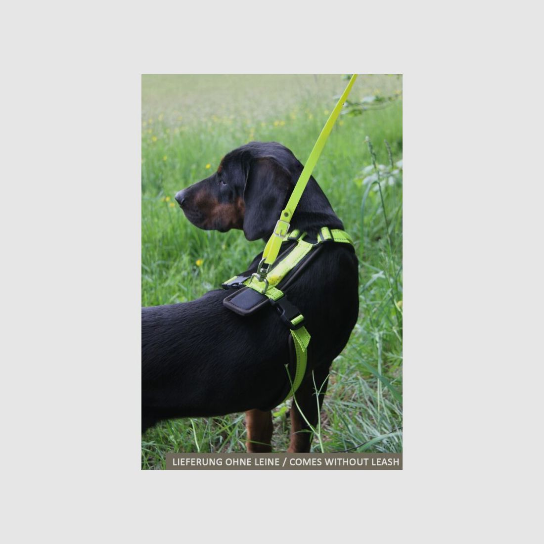 AKAH Hundegeschirr Tracker neongelb
