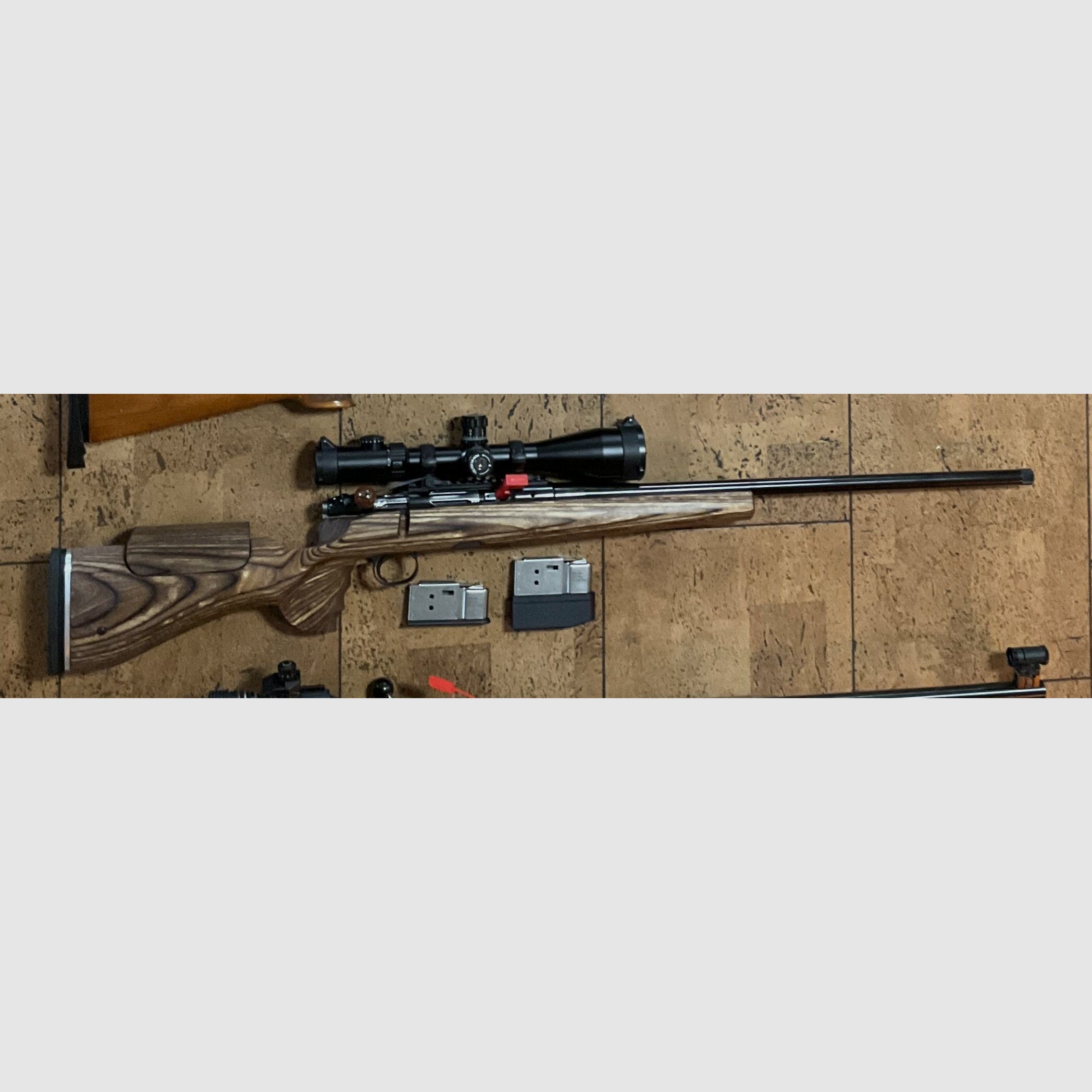 Heym Repetierer SR21 in .308 mit ZF Optics 5-30x50 und GRS Schaft