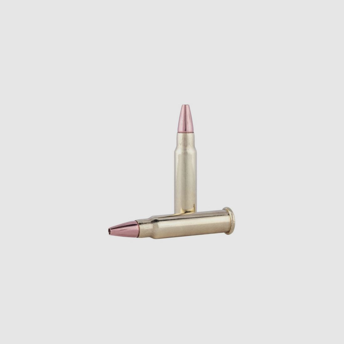 Federal Munition 17 HMR TNT Speer JHP 17 gr, Bild 2 von 4