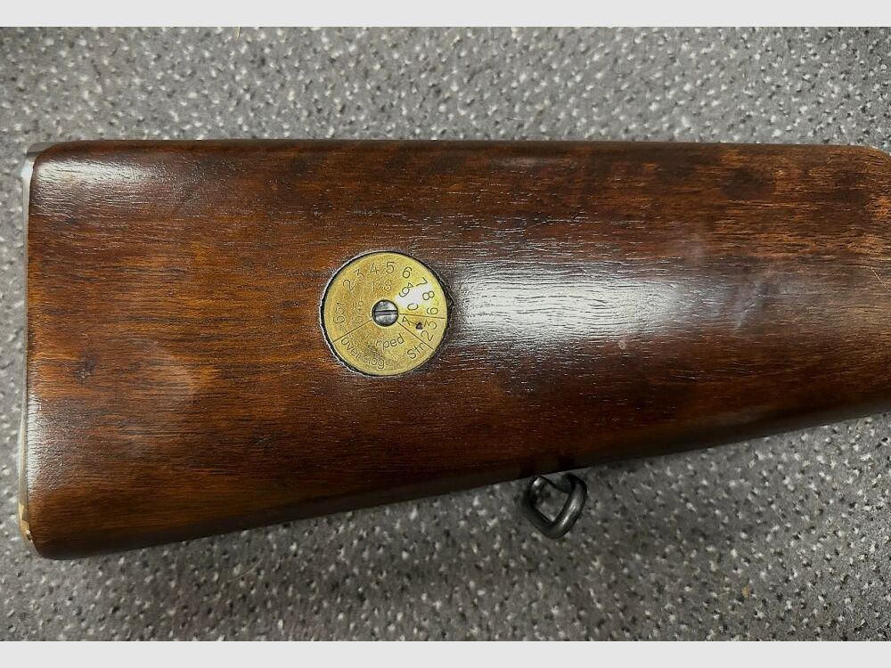 Carl Gustafs Mod 96 con diottro Elit