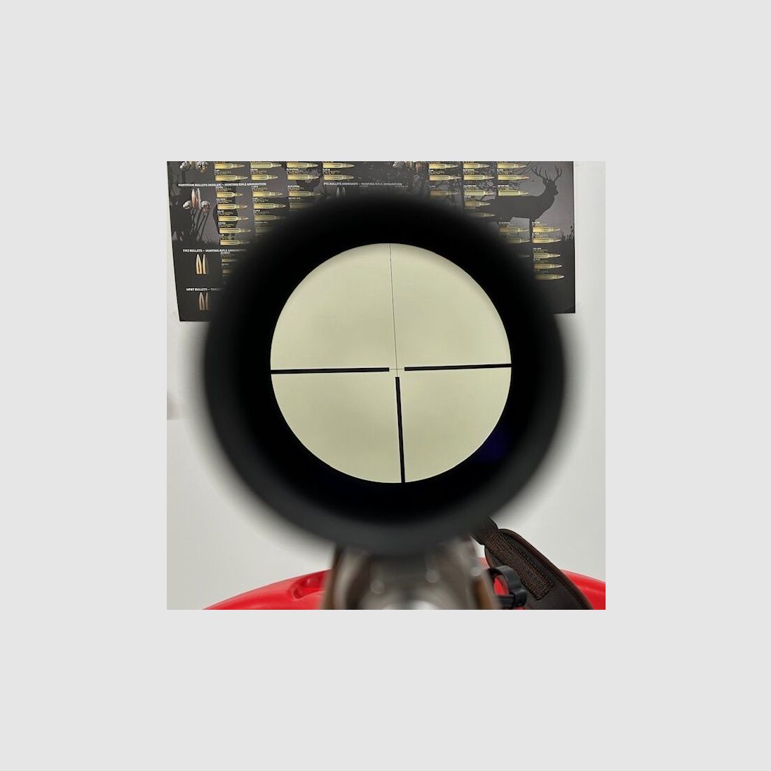 Safari Espressi Selvaggio Selvaggio