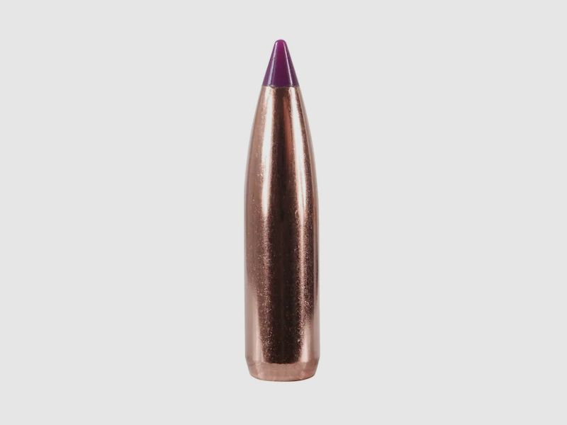 Nosler Geschoss Ballistic Tip Hunting 6mm/.243 90GR Spitzer 50 Stück
