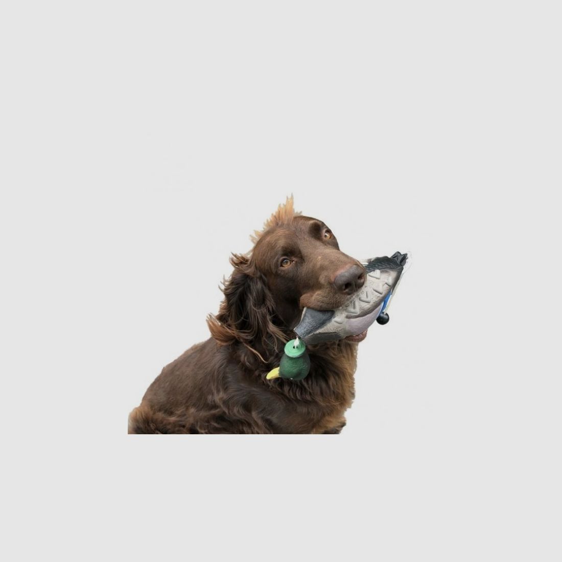 Entendummy flotante – Pato EVA con asa de lanzamiento