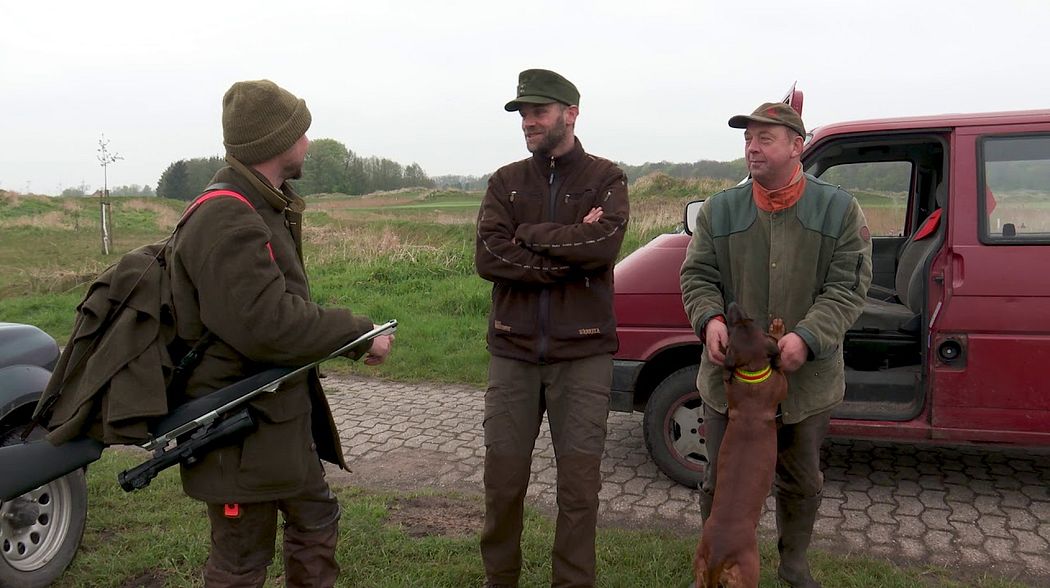 Damwildpirsch in Ostfriesland