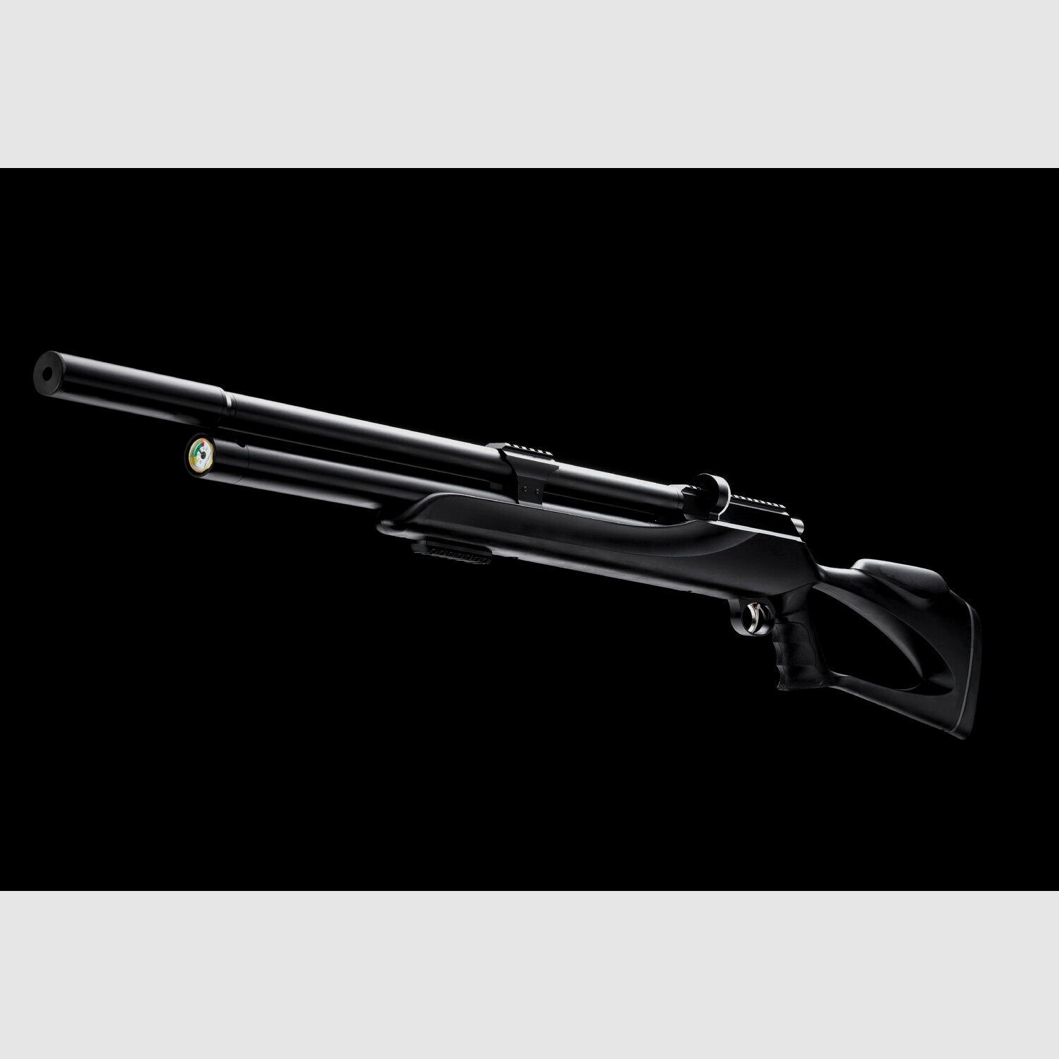 Rifle Snowpeak M25 Pcp C5.5 38J, imagen 9 de 9
