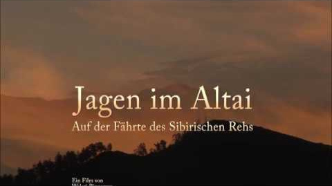 Jagen im Altai -Teil 1. Auf der Fährte des Sibirischen Rehs.