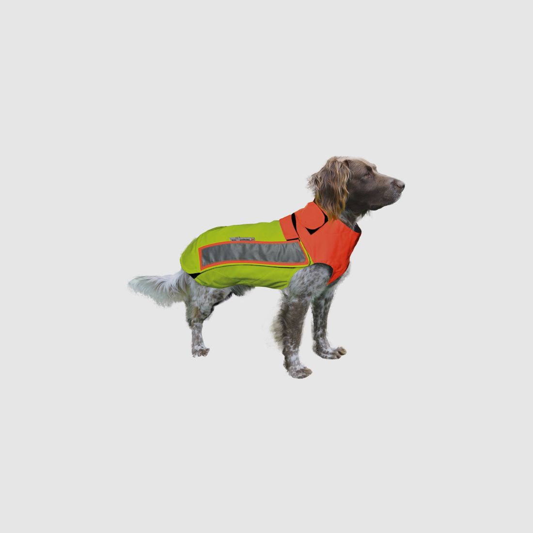 Dog protection vest Hubertus - orange, tear and thorn resistant