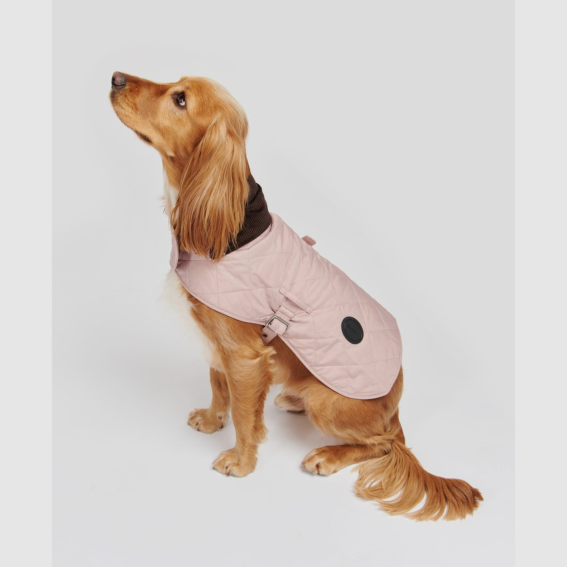 Abrigo para perros Barbour acolchado