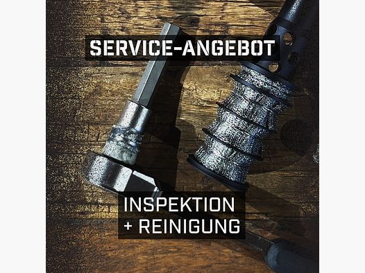 Inspektion & Reinigung für Schalldämpfer