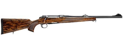 Sauer 101 Artemis