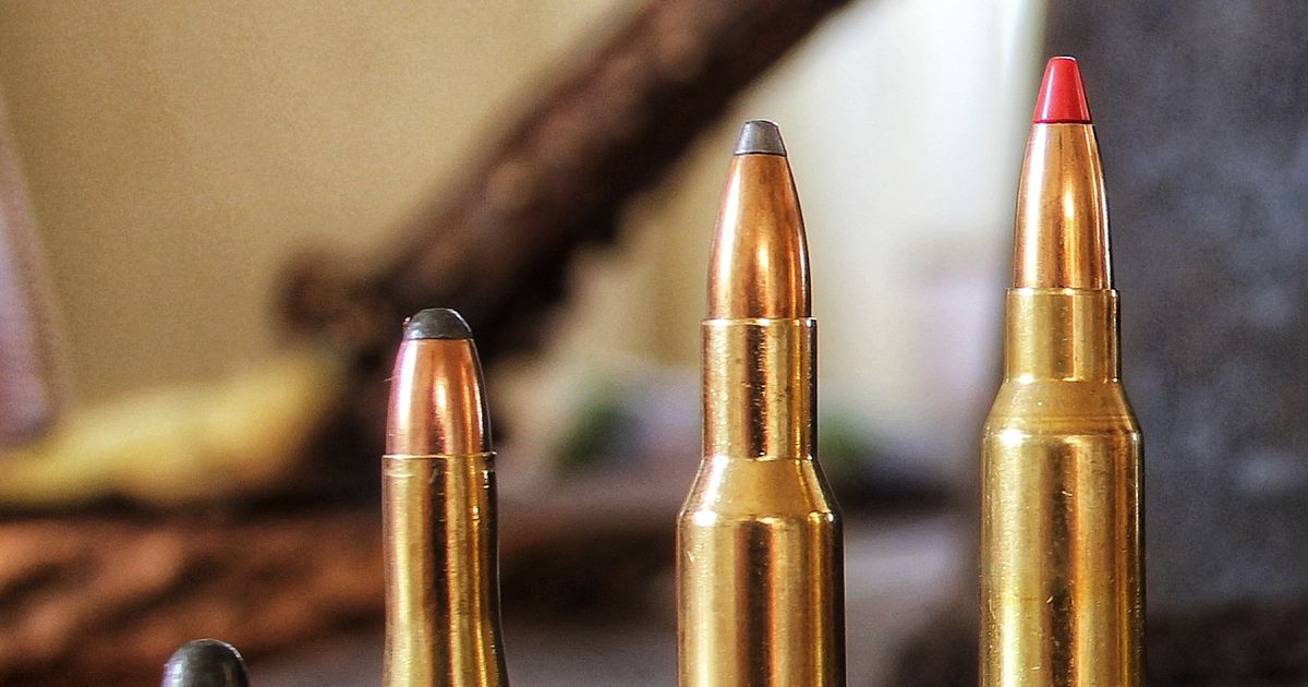 Die Jagd mit der .22 Die Jagd mit der .22