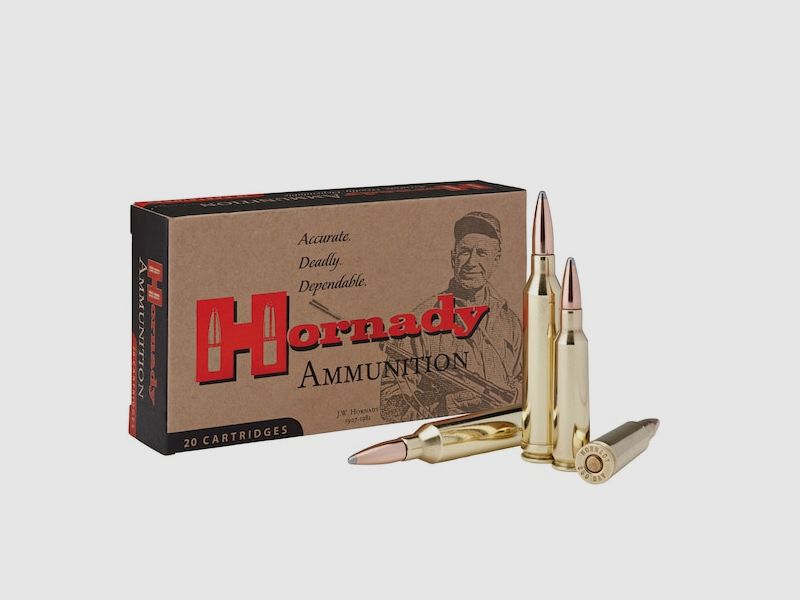 Hornady Custom .250 Savage 100GR InterLock SP 20 Patronen