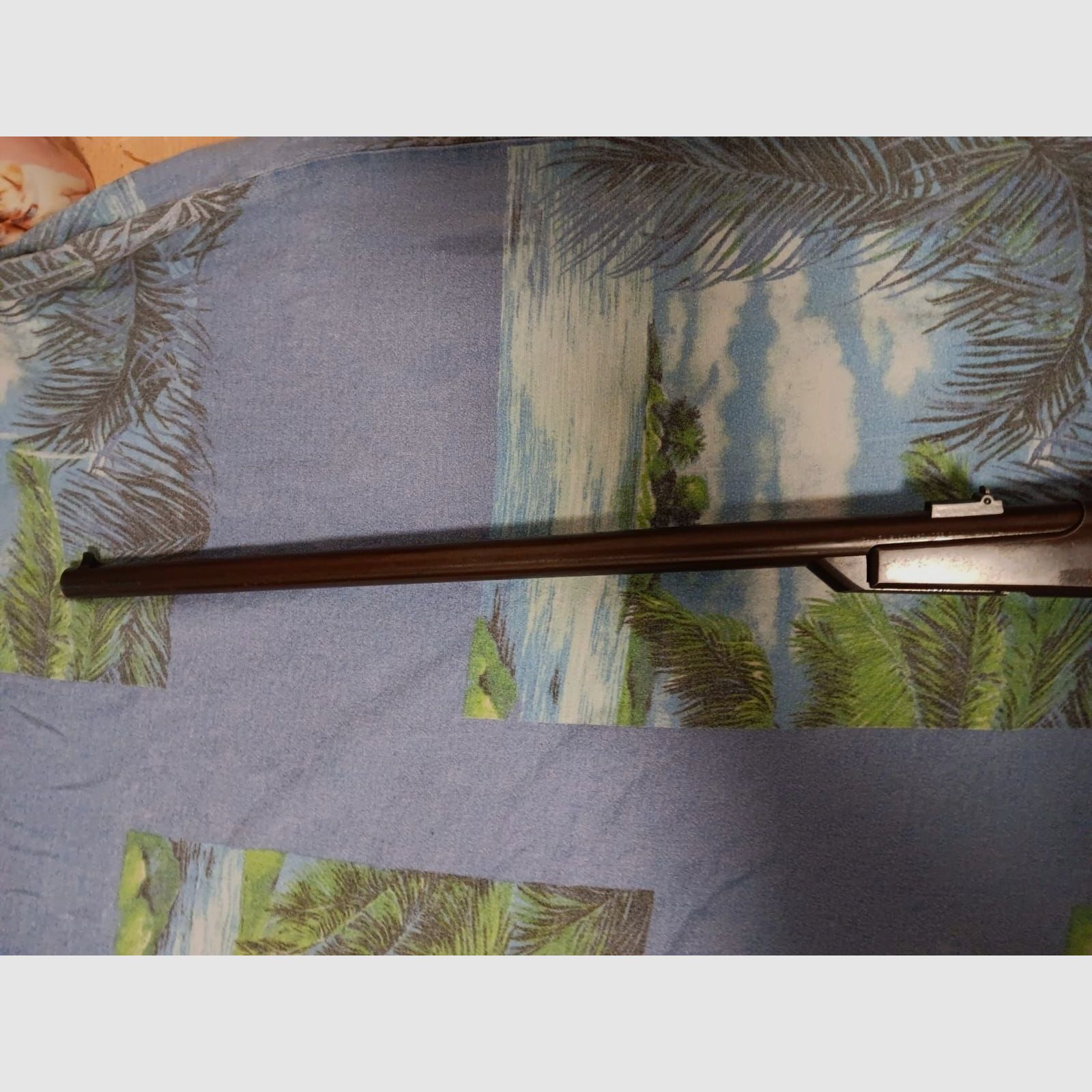 Frei ab 18 Jahre ERMA Gallager Carbine Schwarzpulverhinterlader Cal. 54