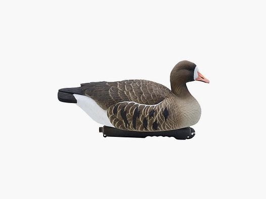 Floating HD Goose
