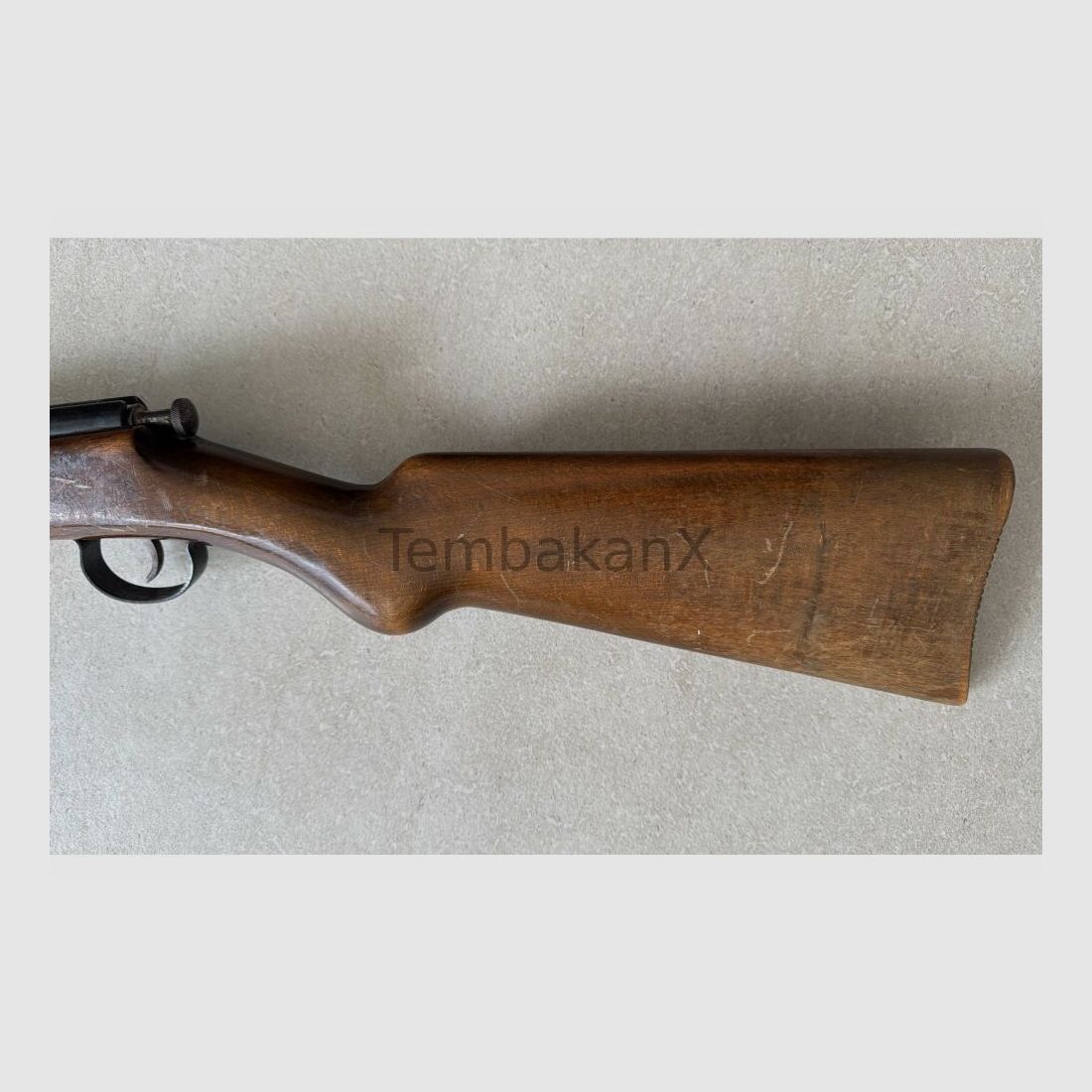 Anschütz .22lr