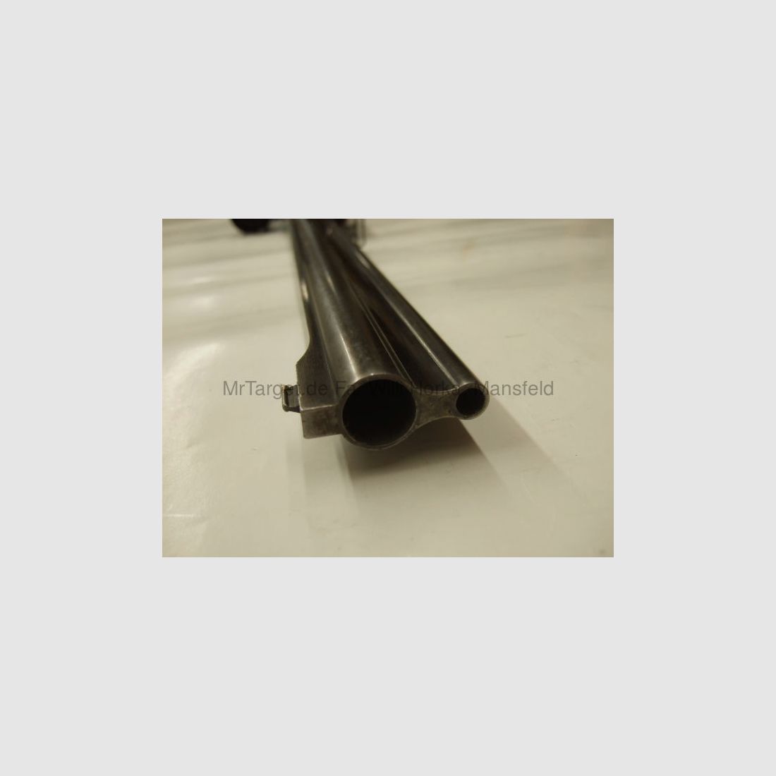 Sabattii mit ZF SWAROVSKI 6x42 Absehen 1