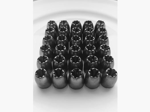 30 Stück AEA Challenger Megalodon Slugs .50/.495 