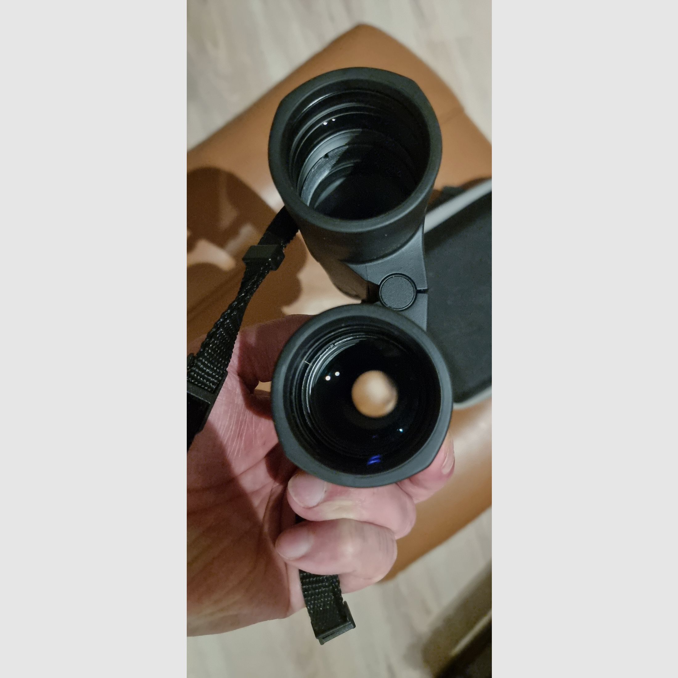 Binoculars Zeiss Terra ED 10x42