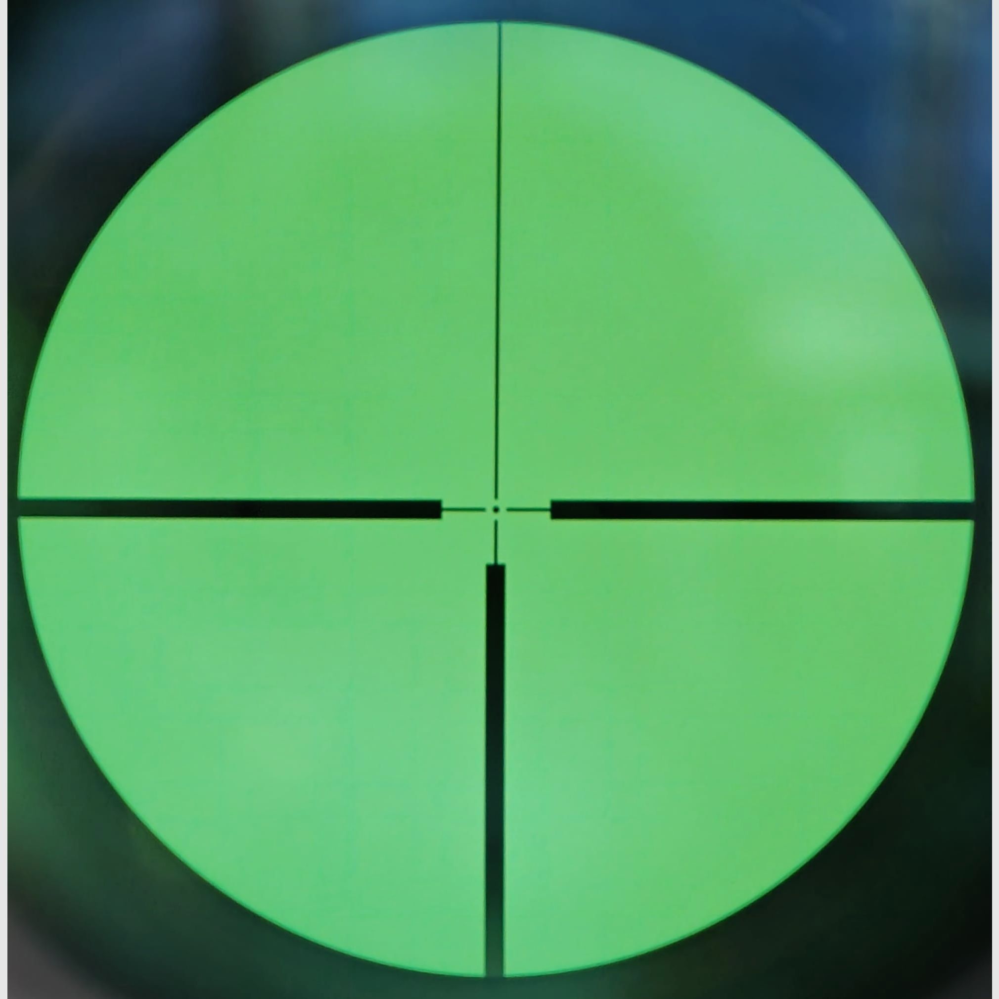 Blaser BBF 95 5,6x50R Mag. 12/70 con visor en montaje oscilante