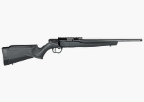 Savage Firearms B22 FV-SR 16,25" .22 LR Repetierbüchse